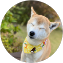 廣本健太 profile picture